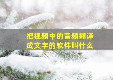 把视频中的音频翻译成文字的软件叫什么