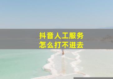 抖音人工服务怎么打不进去