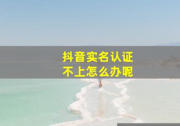 抖音实名认证不上怎么办呢