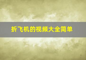 折飞机的视频大全简单