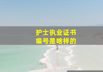 护士执业证书编号是啥样的