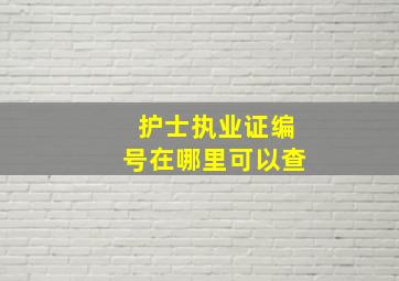 护士执业证编号在哪里可以查