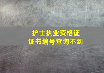 护士执业资格证证书编号查询不到