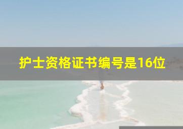 护士资格证书编号是16位