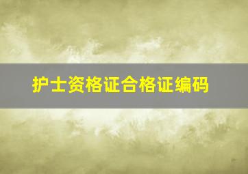 护士资格证合格证编码