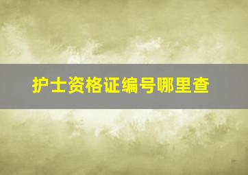 护士资格证编号哪里查