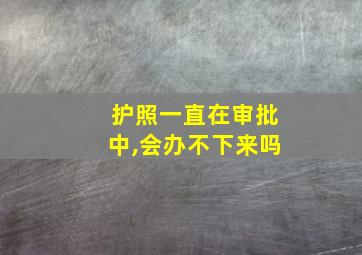 护照一直在审批中,会办不下来吗