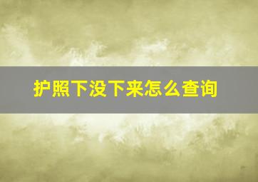 护照下没下来怎么查询