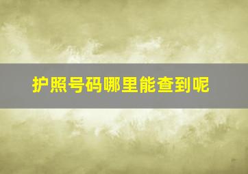 护照号码哪里能查到呢