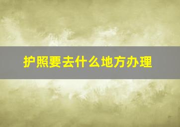 护照要去什么地方办理