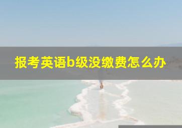 报考英语b级没缴费怎么办