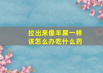 拉出来像羊屎一样该怎么办吃什么药