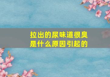 拉出的尿味道很臭是什么原因引起的