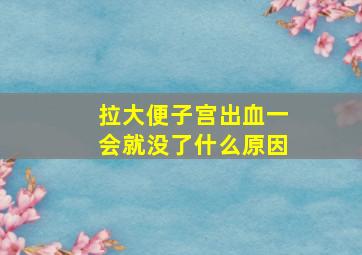 拉大便子宫出血一会就没了什么原因