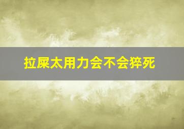 拉屎太用力会不会猝死