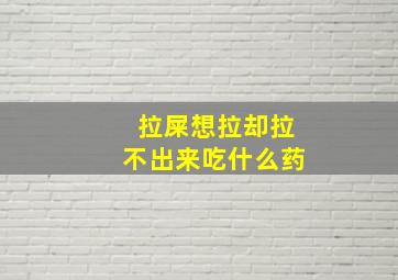 拉屎想拉却拉不出来吃什么药