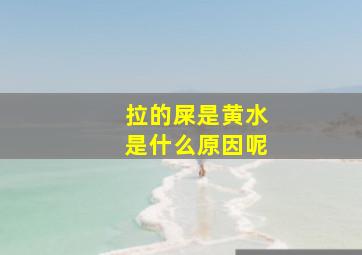 拉的屎是黄水是什么原因呢