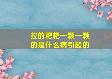 拉的粑粑一颗一颗的是什么病引起的