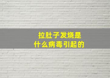 拉肚子发烧是什么病毒引起的