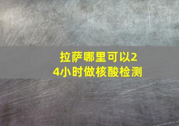 拉萨哪里可以24小时做核酸检测