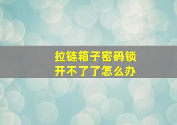 拉链箱子密码锁开不了了怎么办