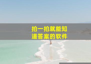 拍一拍就能知道答案的软件