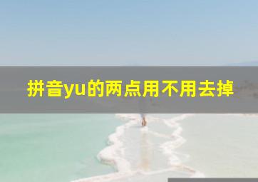 拼音yu的两点用不用去掉