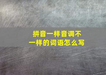 拼音一样音调不一样的词语怎么写