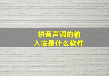 拼音声调的输入法是什么软件