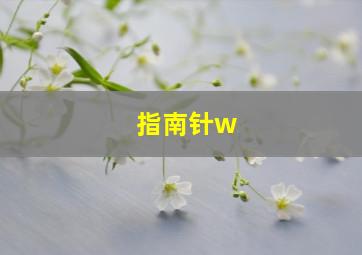 指南针w