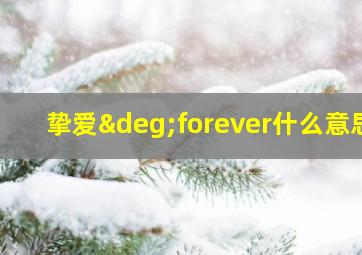 挚爱°forever什么意思