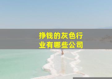 挣钱的灰色行业有哪些公司