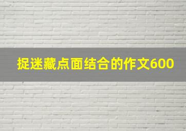 捉迷藏点面结合的作文600