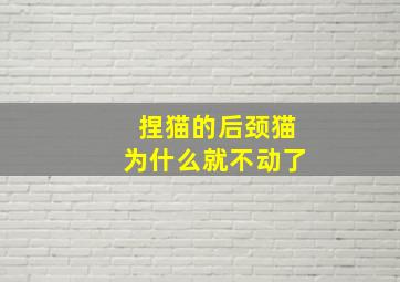 捏猫的后颈猫为什么就不动了