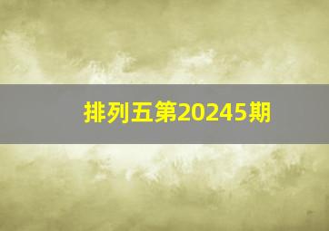 排列五第20245期