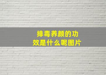 排毒养颜的功效是什么呢图片