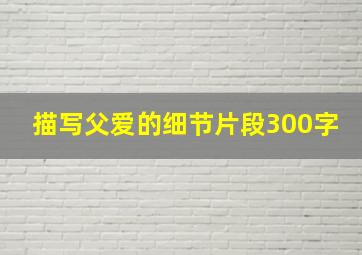 描写父爱的细节片段300字