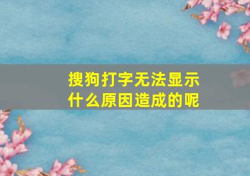 搜狗打字无法显示什么原因造成的呢