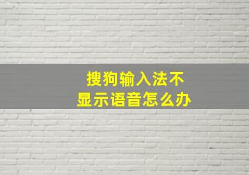 搜狗输入法不显示语音怎么办