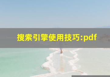 搜索引擎使用技巧:pdf