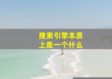 搜索引擎本质上是一个什么