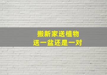 搬新家送植物送一盆还是一对