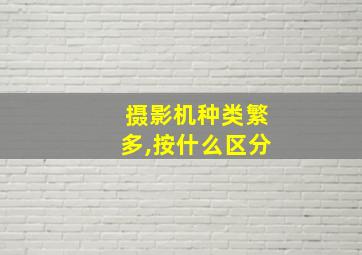 摄影机种类繁多,按什么区分