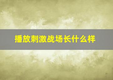 播放刺激战场长什么样