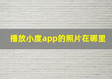 播放小度app的照片在哪里