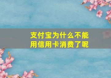 支付宝为什么不能用信用卡消费了呢