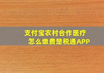 支付宝农村合作医疗怎么缴费楚税通APP