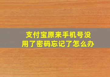 支付宝原来手机号没用了密码忘记了怎么办