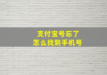 支付宝号忘了怎么找到手机号