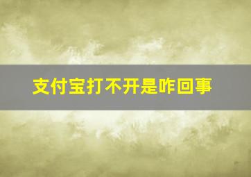 支付宝打不开是咋回事